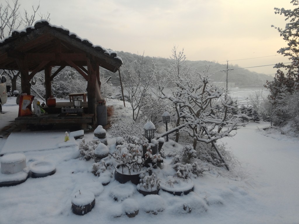 CAM01725