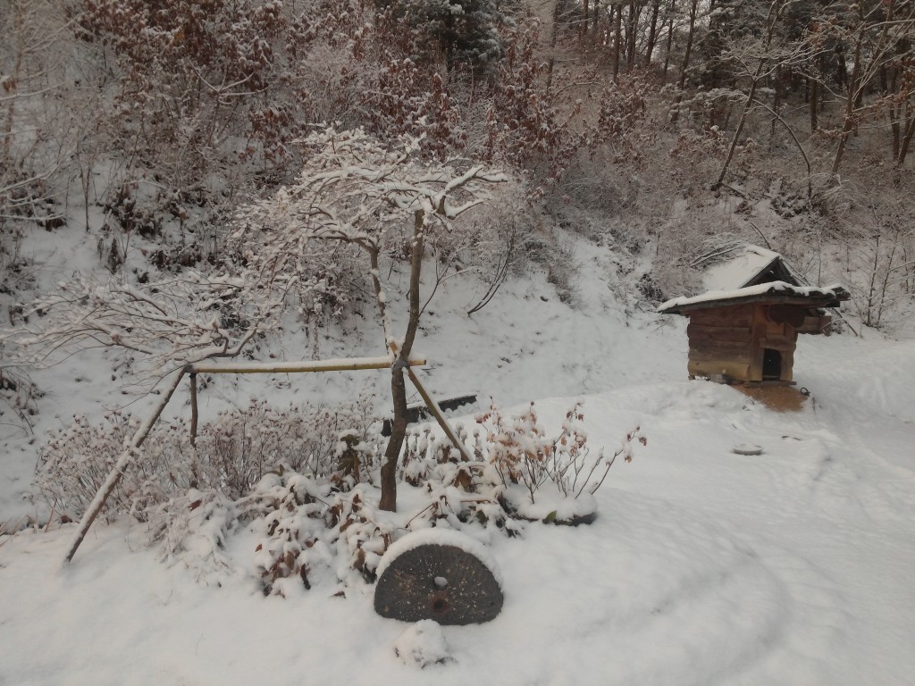 CAM01726